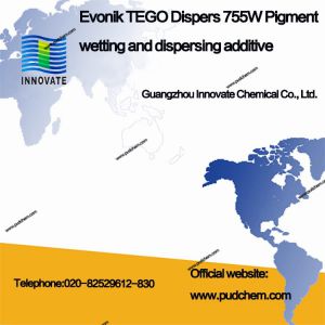 Evonik TEGO Dispers 755W Pigment wetting and dispersing additive