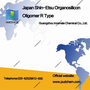 Japan Shin-Etsu Organosilicon Oligomer R Type