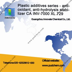 Plastic additives series - antioxidant, anti-hydrolysis stabilizer CA INV-7000 XL 729